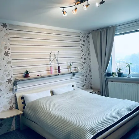 Apartman Luhacovice Апартаменты Лугачовице