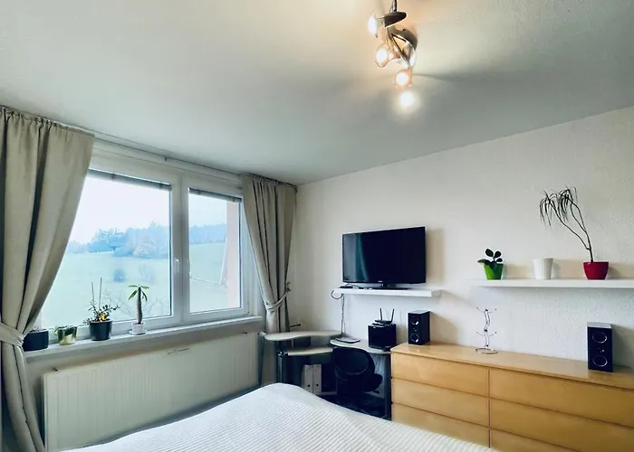Apartmán Luhačovice *